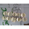 Normal Garlic From Jinxiang